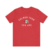 Calmer Than You Are