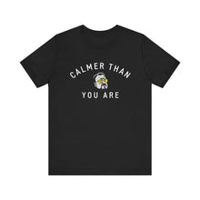 Calmer Than You Are